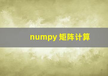 numpy 矩阵计算